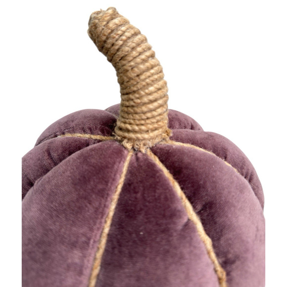 Pottery Barn Velvet Pumpkin Pillow Fig New With Tags 2023 READ - Picture 3 of 10